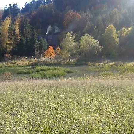 Lesniczowka Limba *