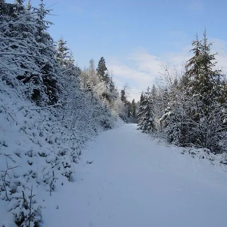 Lesniczowka Limba Feriegård *